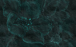 SN106-COL1