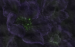 SN106-COL3