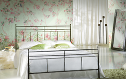 AB50-COL2