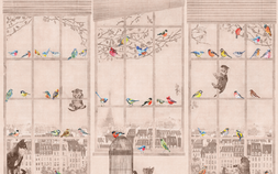 AB63-COL2