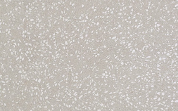 Terrazzo Pearl Lapp Лаппатированный AZYZ