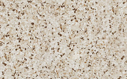 Terrazzo Mix Warm Lapp Лаппатированный AZZK