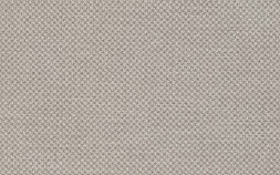Pearl Dot AZXL
