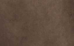Brown Leather AW82