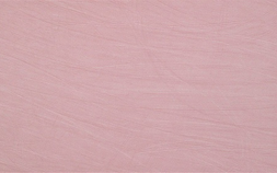 Rosa 8M4R