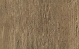 Brown Chestnut AE7M