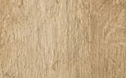 Golden Oak AE7J