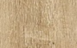 Golden Oak AE7V