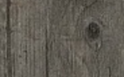 Grey Timber AE7X