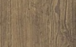 Brown Chestnut AE7D