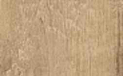 Golden Oak AE7A