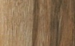 Quercia Antique AV4V