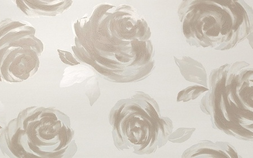 Roses 8MRR