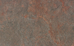 Forest Brown ARZ9