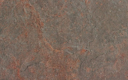 Forest Brown Grip ARZR