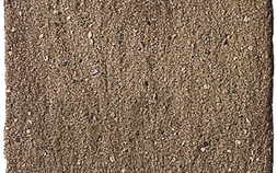 Porfido Beige 2DPb
