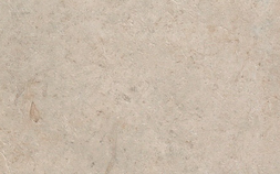Jerusalem Ivory 8N5A