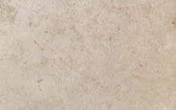 Jerusalem Ivory 7N5A