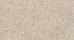 Jerusalem Ivory 8N5F