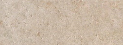 Jerusalem Ivory 8N5M