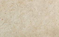 Jerusalem Ivory 5N5A
