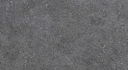 Gray 8S11
