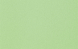 Menta Grip 2I07
