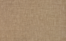 Canvas AM5T