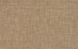 Canvas AM51