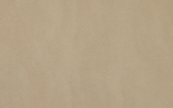 02Beige Levigato Полированный 5WN2
