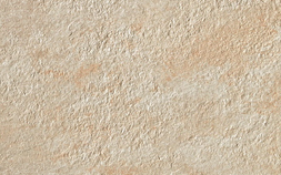 Ivory ACN1