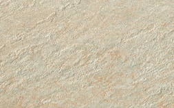 Ivory Grip ACNI