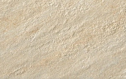 Ivory ACL1