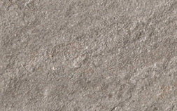 Silver ARIZ