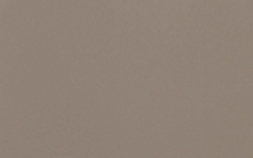 Canvas ALGO