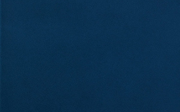 Navy ALG0