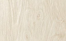 Magnolia Lappato / Магнолия Лаппато 610015000137
