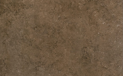 Сhestnut Mat / Чеснат Мат 610010000475